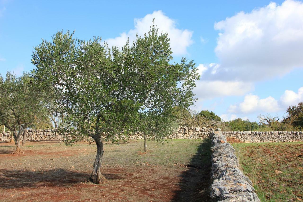 Dimora Verde B Con Trullo Masseria Poesia Cisternino Bagian luar foto